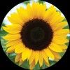 summer_louise11